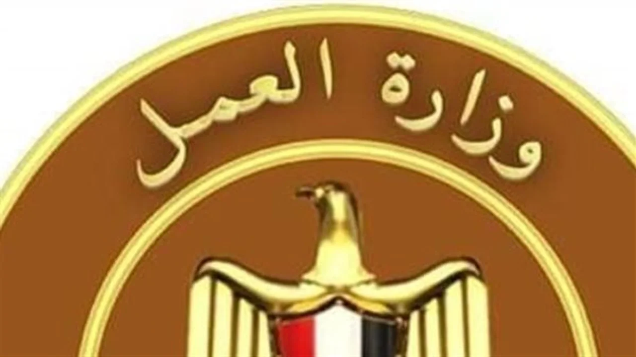 فرص عمل جديدة.. وزارة العمل تطلب 2000 حداد ونجار في تخصصات مهنية